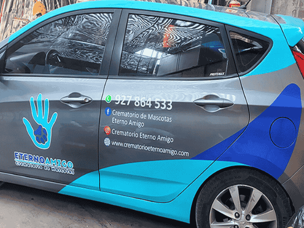 Ploteo decorativo para vehículos (2)